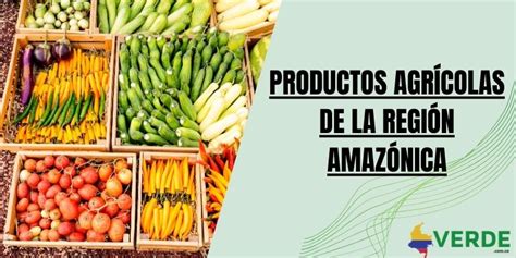 Mapa de la región guaraní con productos agrícolas típicos como mandioca, maíz y yerba mate