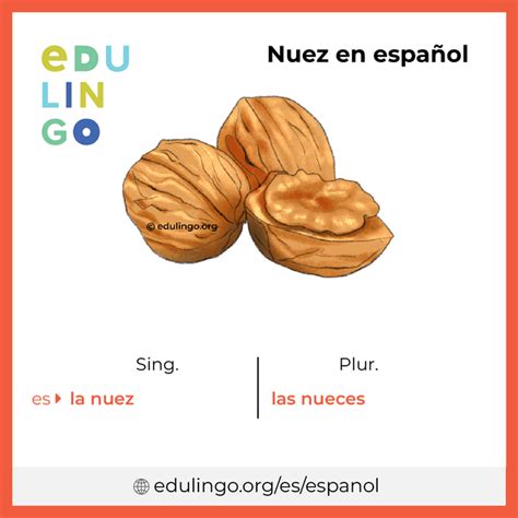 Esquema de la palabra nuez con su separación silábica (nuez) y la identificación de un diptongo.
