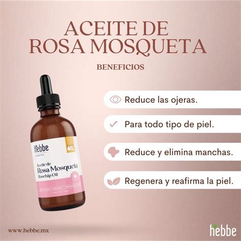 Infografía: pasos clave para la preparación de aceite de rosa mosqueta casero
