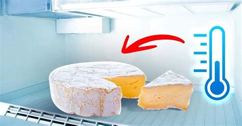 Esquema de factores que afectan la conservación del queso (temperatura, humedad, tipo de queso, envase)