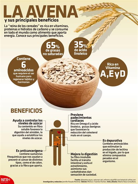 Infografía sobre los beneficios y nutrientes de la avena