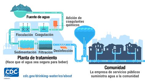 Esquema comparativo que muestra el origen del agua, los procesos de tratamiento (potabilización, purificación, ebullición) y los contaminantes que elimina cada uno.