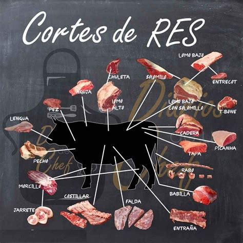 cortes de carne de res para asar