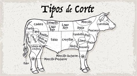Infografía comparativa: Cortes de vacuno y cerdo, indicando niveles de grasa y tiempos de cocción sugeridos para parrilla