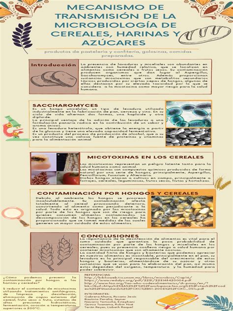 Infografía: Tabla de granos y harinas permitidas y prohibidas en una dieta sin gluten.