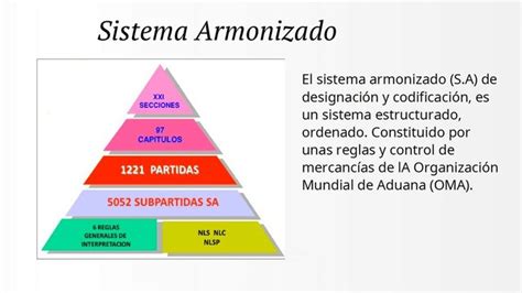 Esquema o diagrama del Sistema Armonizado de Designación y Codificación de Mercancías