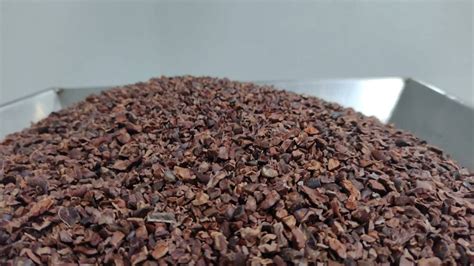 Foto macro de nibs de cacao tostados y crujientes