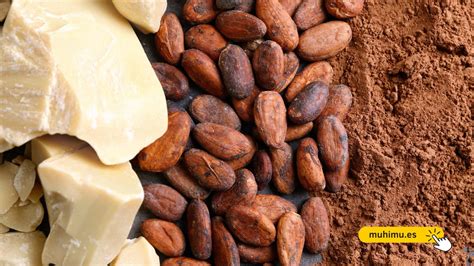 Grano de cacao con manteca de cacao extraída