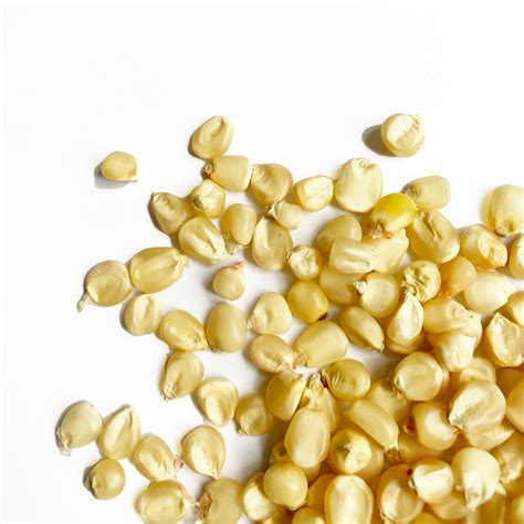 Foto de maíz blanco seco en remojo en un tazón, preparando para su cocción