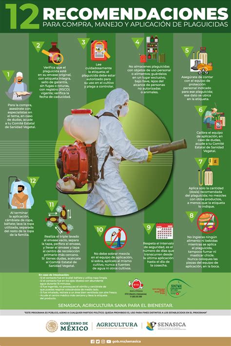 Infografía: Guía para la compra, almacenamiento y preparación segura de huevos