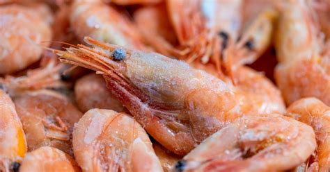 Camarones frescos y precocidos, dispuestos sobre hielo para mantener la cadena de frío