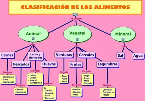 Esquema de clasificación de alimentos según su grado de procesamiento