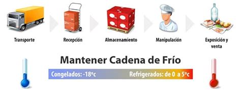 Esquema de las condiciones óptimas de almacenamiento para la levadura