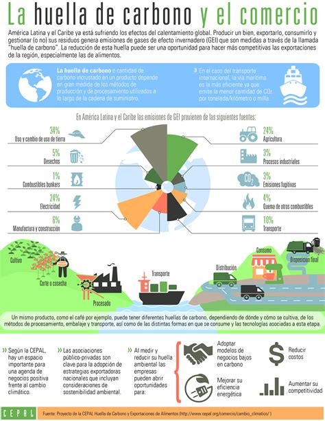 infografía sobre sostenibilidad y huella de carbono