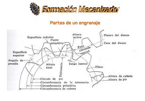Diagrama de los engranajes internos de una picadora de carne, destacando la necesidad de lubricación.