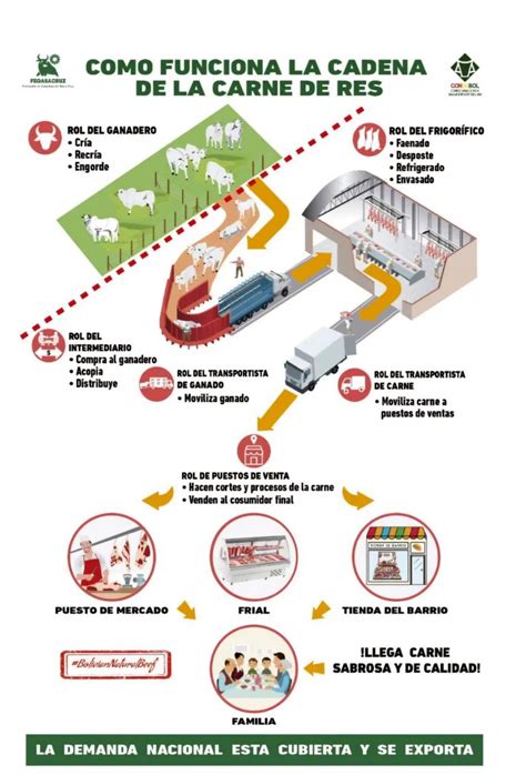 Esquema de la cadena productiva de la carne de ovino, mostrando los diferentes actores desde el productor hasta el consumidor.