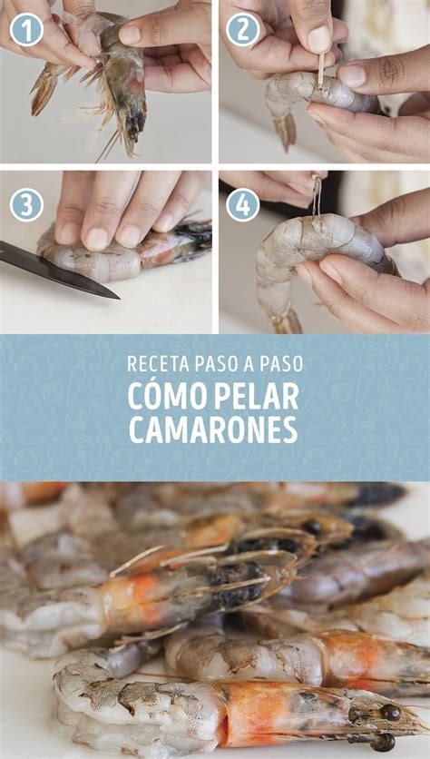 diagrama paso a paso de cómo limpiar un camarón y quitar la vena