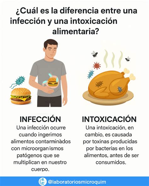 Infografía que muestra la diferencia entre intoxicación alimentaria e infección transmitida por alimentos.