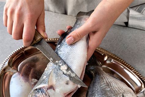 Pescado eviscerado y desescamado listo para sazonar