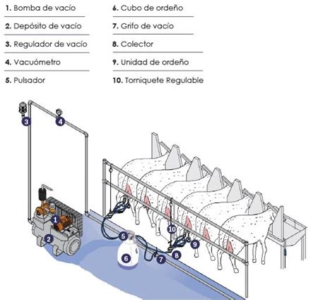 Esquema de un sistema de ordeño y almacenamiento de leche en una granja