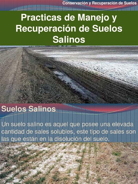 esquema del método chino de recuperación de suelos salinos con residuos y plásticos