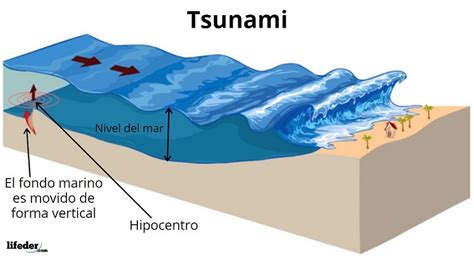 Esquema de formación de un tsunami a partir de un terremoto submarino