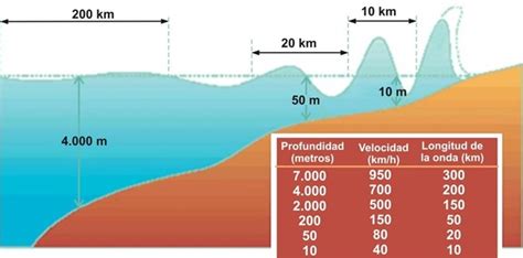 Ilustración comparando la altura de una ola de tsunami en mar abierto y cerca de la costa