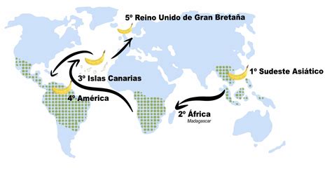 mapa de origen y distribución de la papa en el mundo