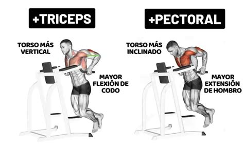 Esquema de la ejecución de fondos de tríceps en paralelas