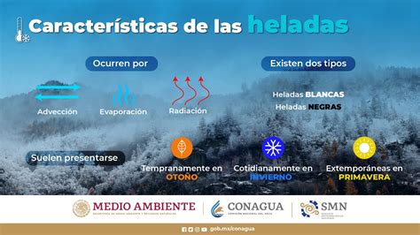 Esquema de los diferentes tipos de heladas (advección, irradiación, evaporación)