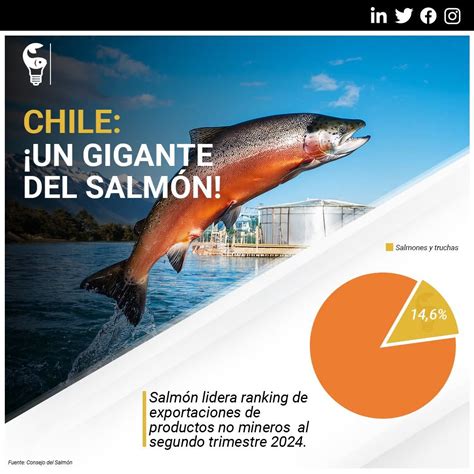Infografía mostrando los límites de captura de salmónidos en Chile