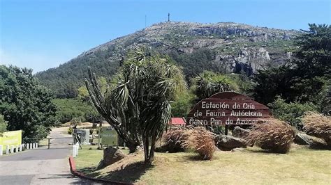 Mapa de ubicación del Cerro Pan de Azúcar y sus accesos desde Montevideo y Piriápolis