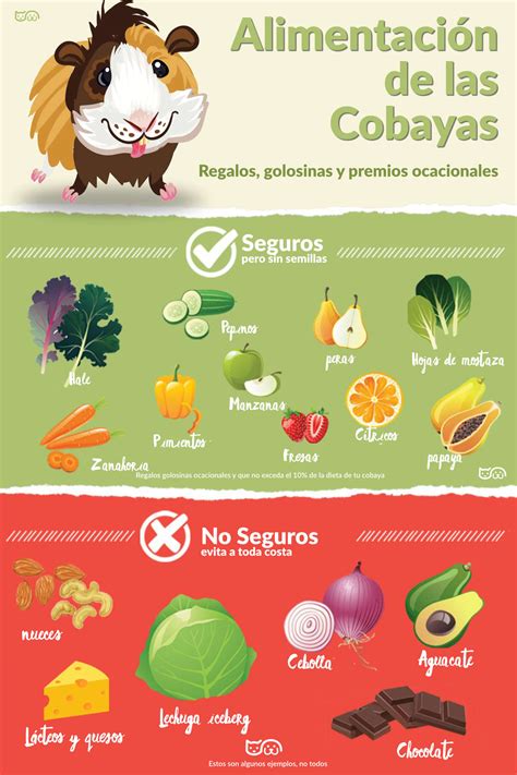 Infografía colorida de frutas y verduras seguras para cobayas, con indicaciones de porciones y frecuencia