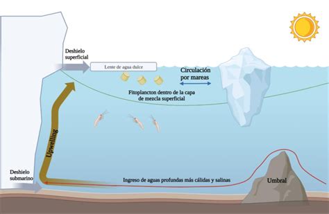 Esquema de un fiordo noruego o chileno mostrando una granja de salmón