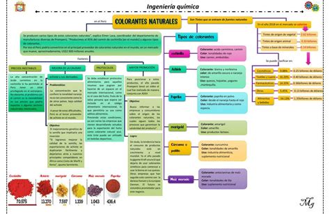 Esquema sobre el proceso de obtención de colorantes naturales a partir de cochinilla en la industria alimentaria.
