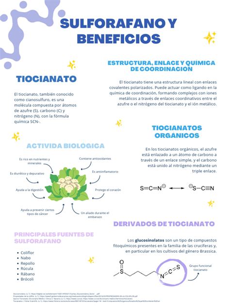 Esquema molecular del sulforafano y su posible interacción con células cancerosas