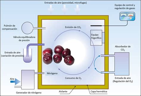 Esquema de una cámara de almacenamiento con atmósfera controlada