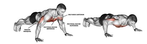 Ilustración de diferentes variantes de flexiones (ej. diamante, pica, inclinada)