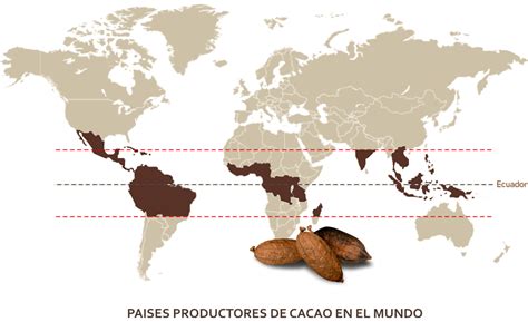 Mapa mundial mostrando las principales regiones productoras de cacao