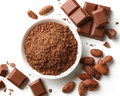 Variedad de productos de cacao y chocolate (polvo, nibs, barras, bombones)