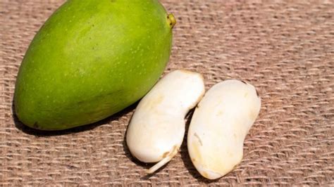 Foto de semillas de mango y manteca de mango en su forma sólida
