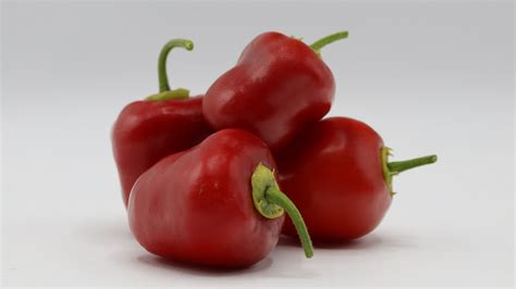 Hojas de rocoto con vello fino