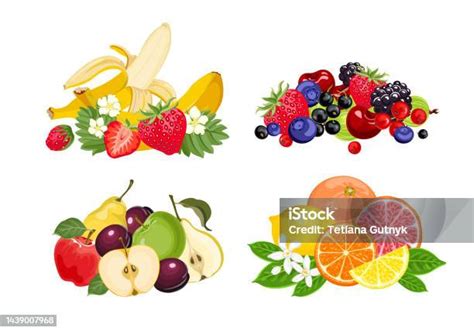 Ilustración variada de bayas, cítricos y aguacate.