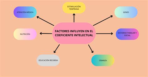 Esquema de factores que influyen en la disfunción sexual y el papel de la dieta