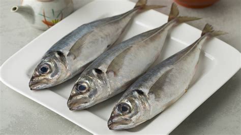 Pescado jurel fresco en un mercado o pescadería