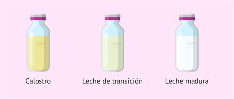 Infografía comparativa de la composición nutricional del calostro, leche de transición y leche madura.
