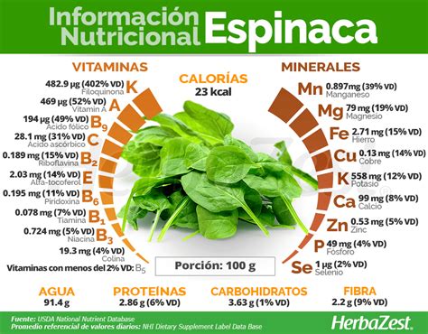 Tabla nutricional detallada de la espinaca por 100 gramos