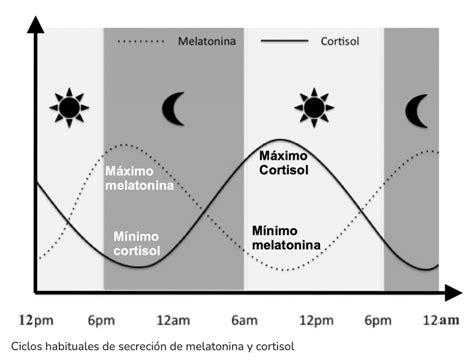 Gráfico mostrando la relación entre fotoperíodo, secreción de melatonina y ciclicidad en yeguas.