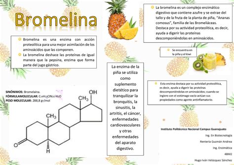 Diagrama mostrando la estructura molecular de la bromelina y sus funciones.