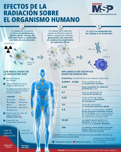Infografía sobre los efectos del plástico en el cuerpo humano